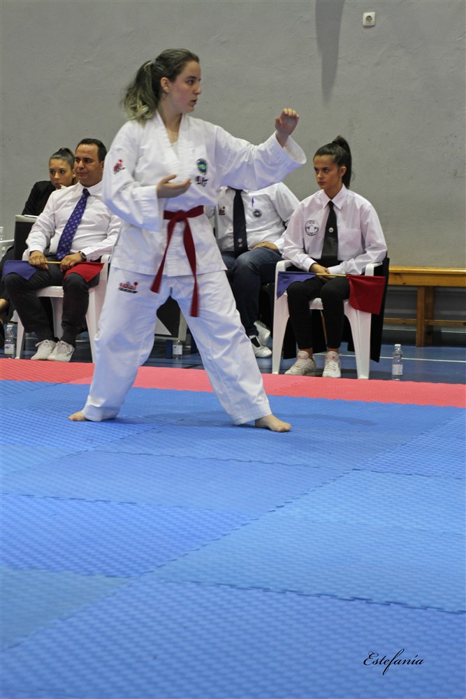 Copa Seul 2018 (454).jpg